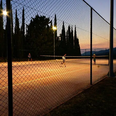 Milicic